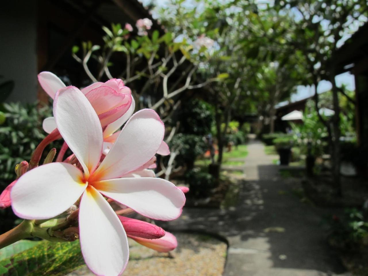 Phuket Siam Villas - Sha Plus Chalong Εξωτερικό φωτογραφία